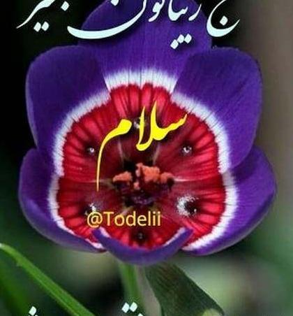 عکس پروفایل سلام صبح بخیر جدید