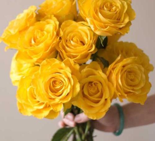 عکس گل زرد برای پروفایل واتساپ