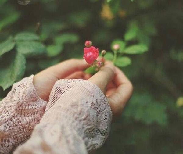 عکس پروفایل جدید گل زیبا