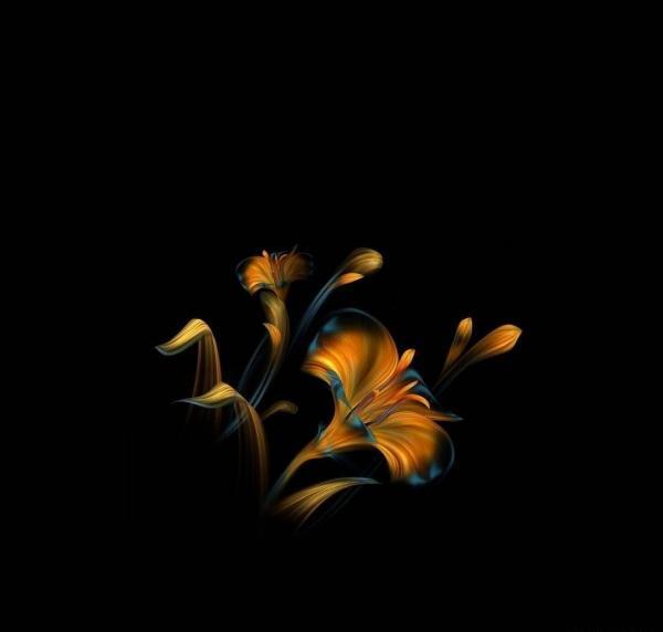 عکس گل طلایی برای تصویر زمینه