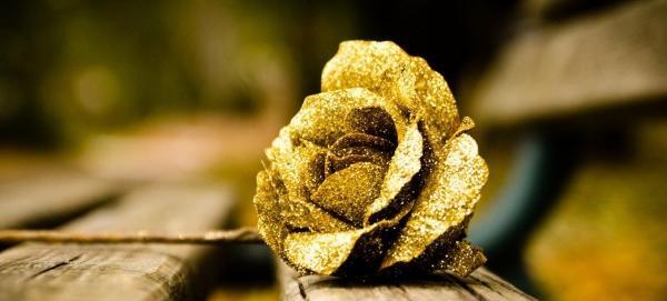عکس گل طلایی برای تصویر زمینه