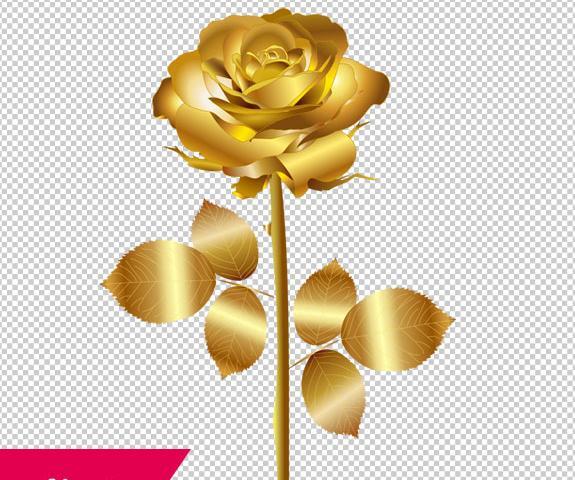 عکس گل طلایی برای تصویر زمینه