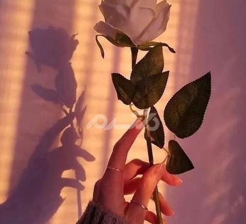 عکس پروفایل جدید برای اینستا