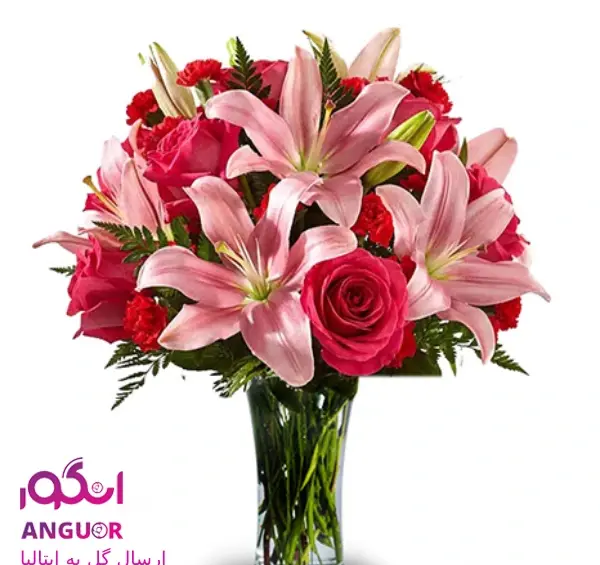 عکس گل فرشته