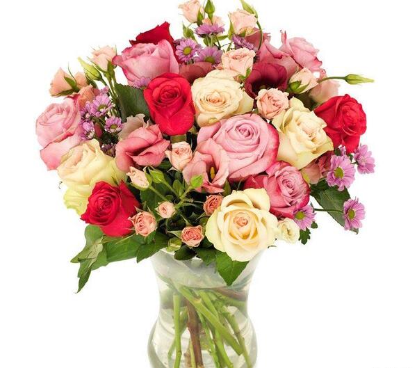عکس گل فرشته