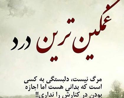 عکس پروفایل جدید حیوانات