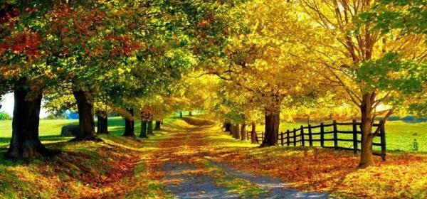 عکس پروفایل جدید تابستانی