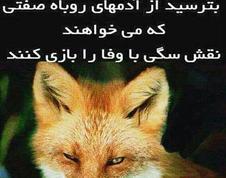عکس پروفایل پند آموز جدید