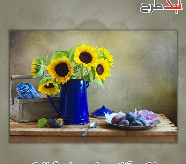 عکس گل آفتابگردان نقاشی
