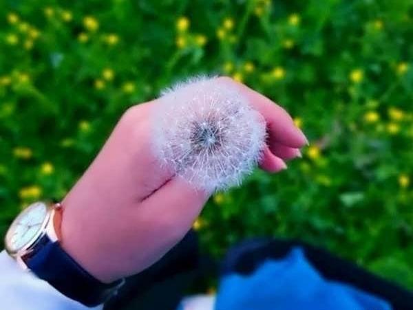 عکس پروفایل ثروت ساز