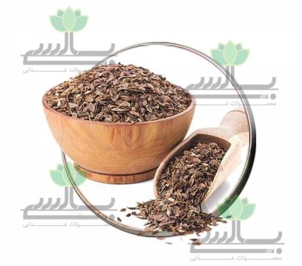 عکس گلپر