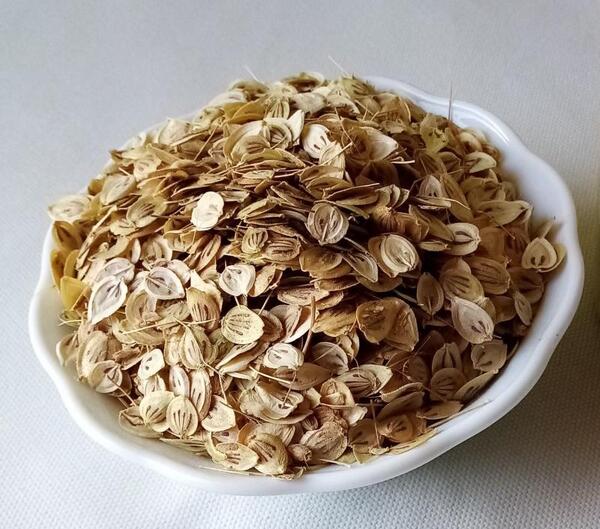 عکس گلپر