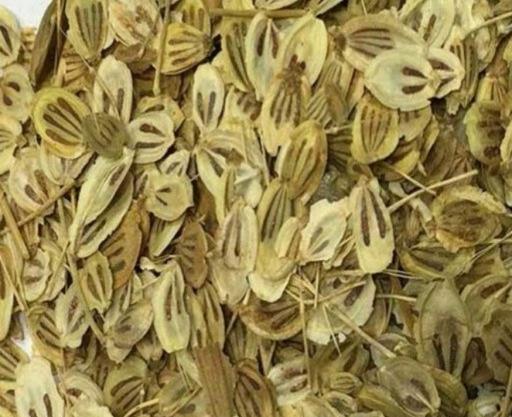 عکس گلپر