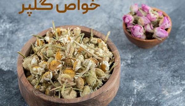 عکس گلپر