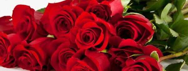 عکس گل برای ولنتاین