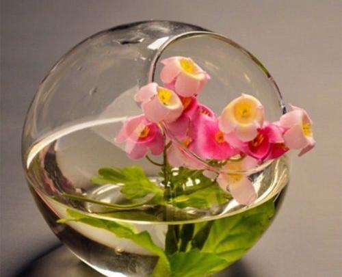 عکس گل در گلدان شیشه ای برای پروفایل