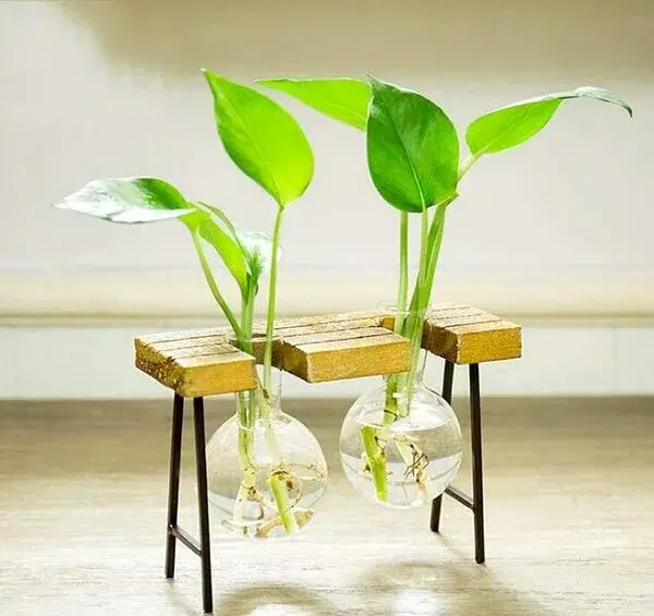 عکس گل در گلدان شیشه ای برای پروفایل