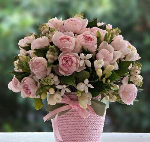 عکس گل در گلدان شیشه ای برای پروفایل