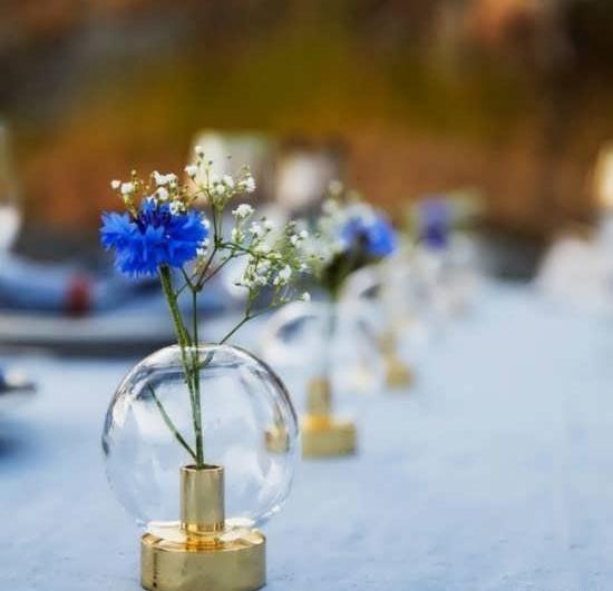 عکس گل در گلدان شیشه ای برای پروفایل