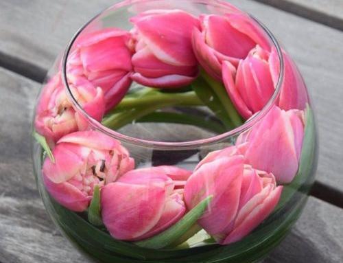 عکس گل در گلدان شیشه ای برای پروفایل