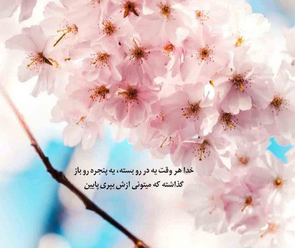 عکس پروفایل جدید خدایی