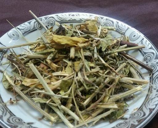 عکس گل ساعتی خشک