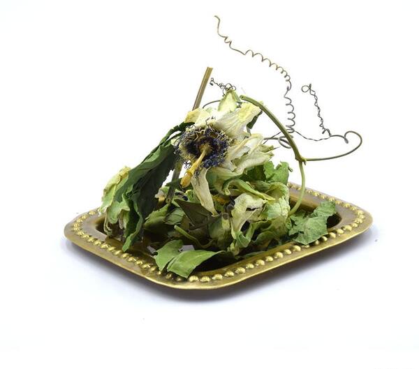 عکس گل ساعتی خشک