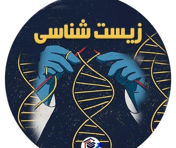 عکس گل چند برچه ای