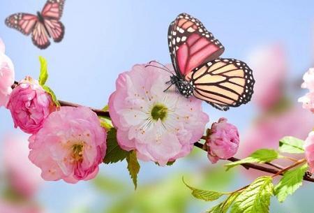 عکس پروفایل دخترانه فصل بهار