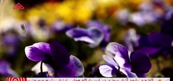 عکس گرداب بن شهرکرد