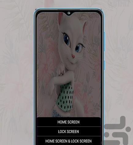 عکس تام گربه
