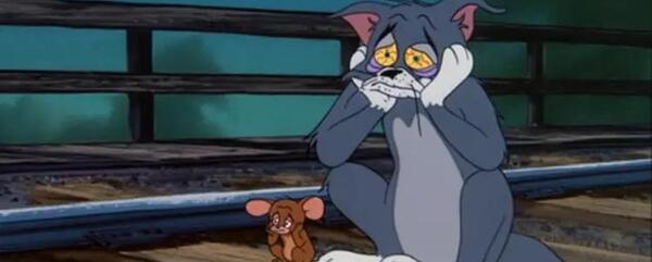 عکس تام گربه