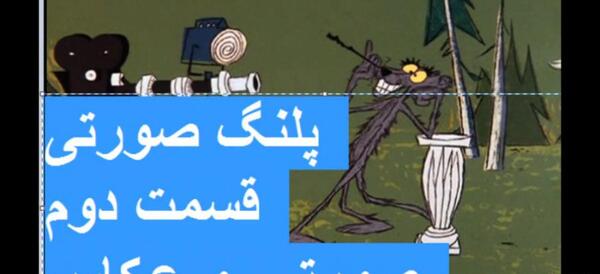 عکس اسب پلنگ صورتی