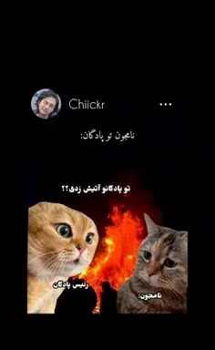عکس سیندرلا در رالف خرابکار