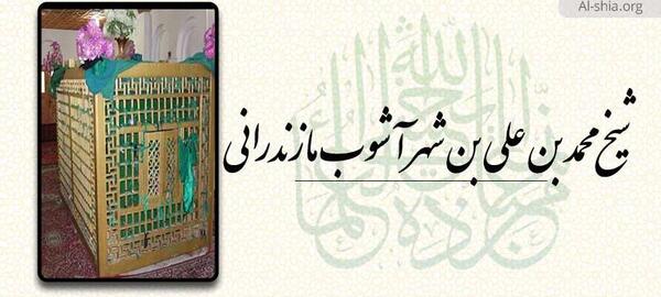 عکس صاحب بن عباد