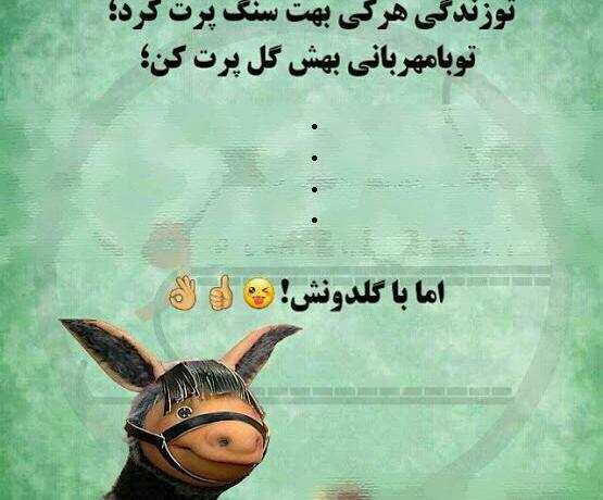 عکس امیلی فرانسوا