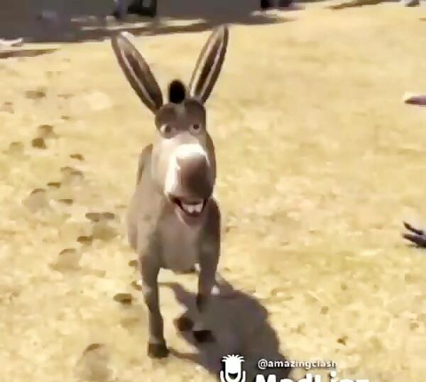 عکس شرک زشت