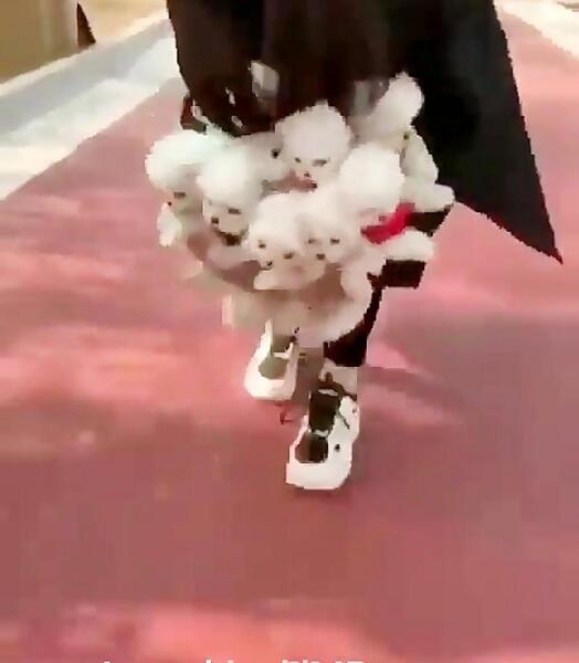 عکس السا مرده