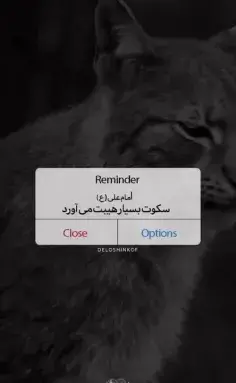 عکس تام و جری کیوت