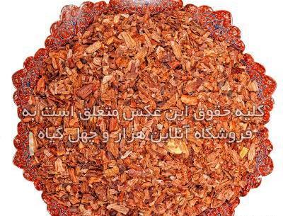 عکس بلوط کوهی