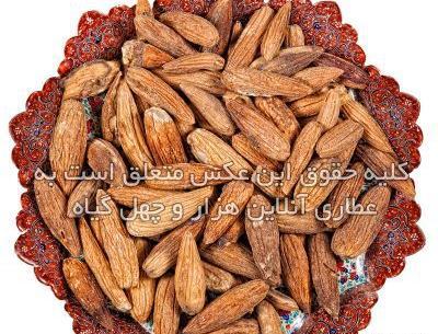 عکس بلوط کوهی