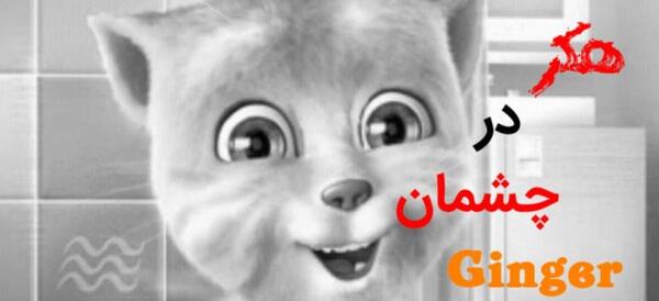 عکس هکر در چشمان تام