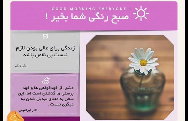 عکس میگ میگ و گرگ واقعی
