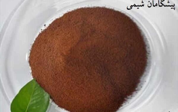 عکس لیونل سباستین اسکالونی