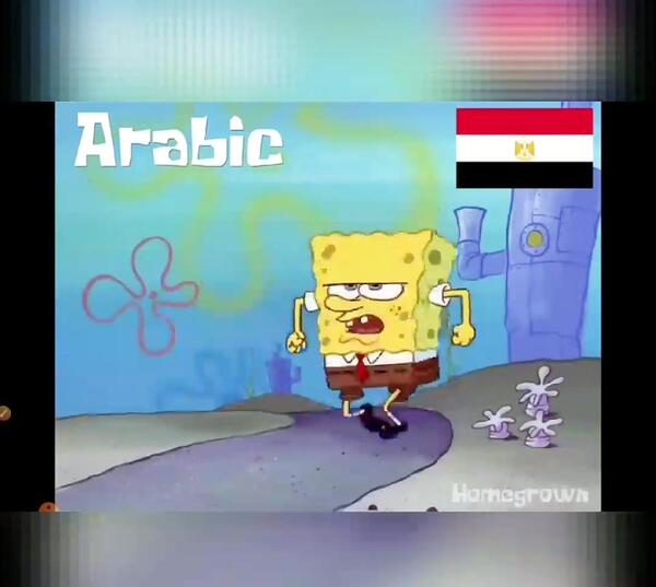 عکس باب اسفنجی واقعی در دریا