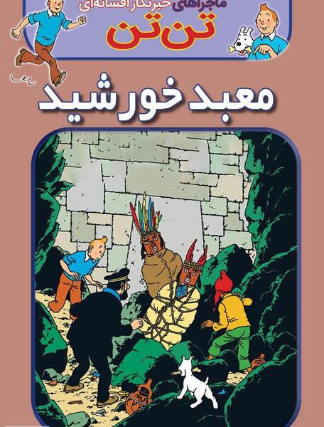 عکس کتاب تن تن