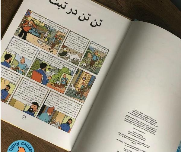 عکس کتاب تن تن