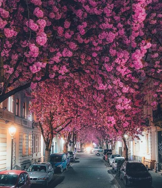 عکس شهر بن آلمان