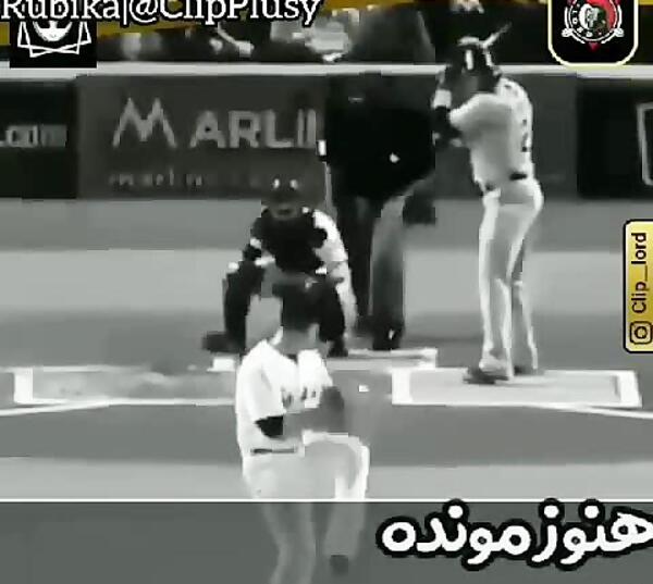 کلیپ عکس تن تن