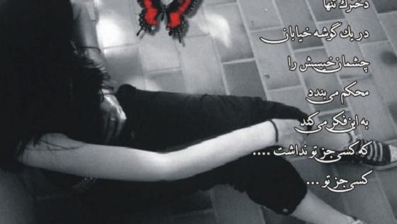 عکس بوشوگ سگ لوک خوش شانس
